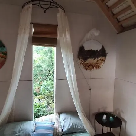 Bed & Breakfast Muhusi Linnumaja