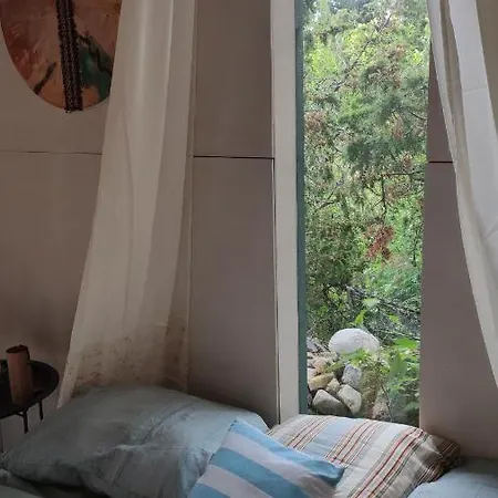 Bed & Breakfast Muhusi Linnumaja 4*